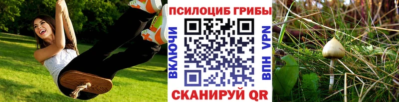 блэк спрут ссылка  магазин продажи   Заволжье  Псилоцибиновые грибы мухоморы 